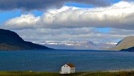 Wild Westfjords