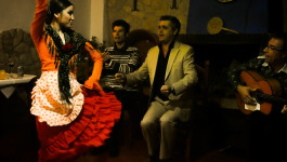 Puro Flamenco
